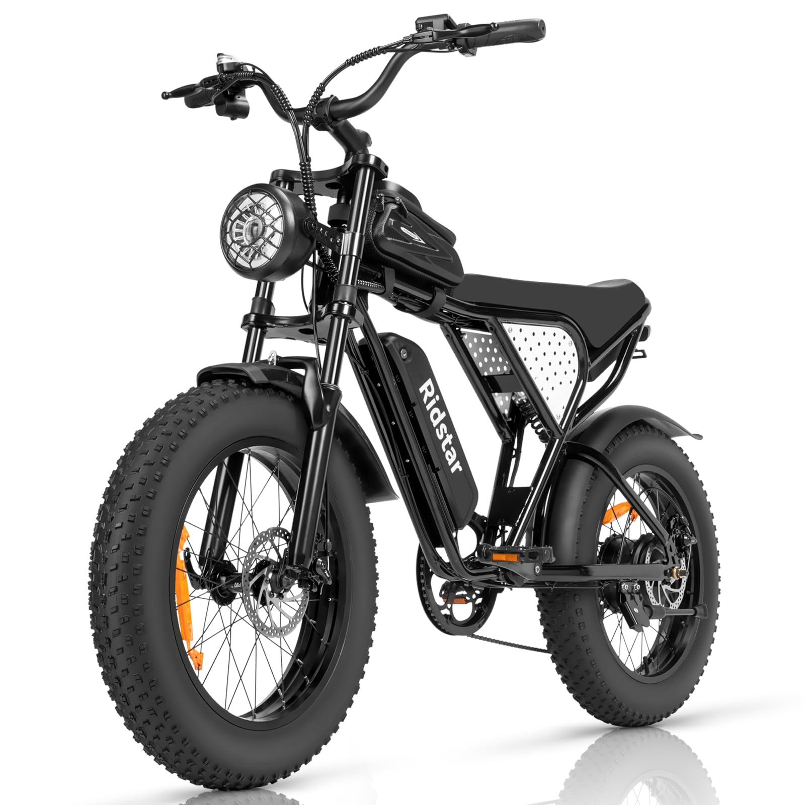 Ridstar Electric Motorcycles for Adults, 1000W 15AH 25MPH Max 35Miles Ebike,20'' Fat Tire Dirt Bike, Bicicleta electrica para adultos UL2849